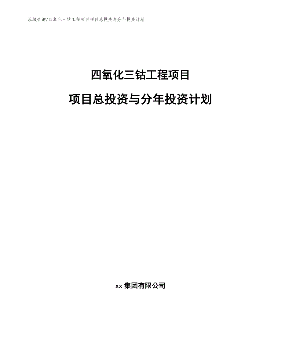 四氧化三钴工程项目项目总投资与分年投资计划（完整版）_第1页