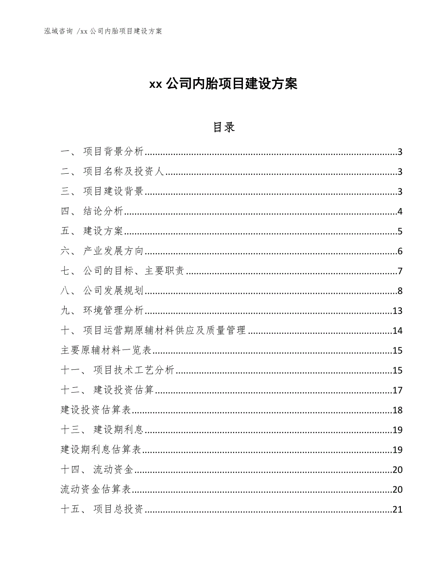 xx公司内胎项目建设方案（模板范文）_第1页