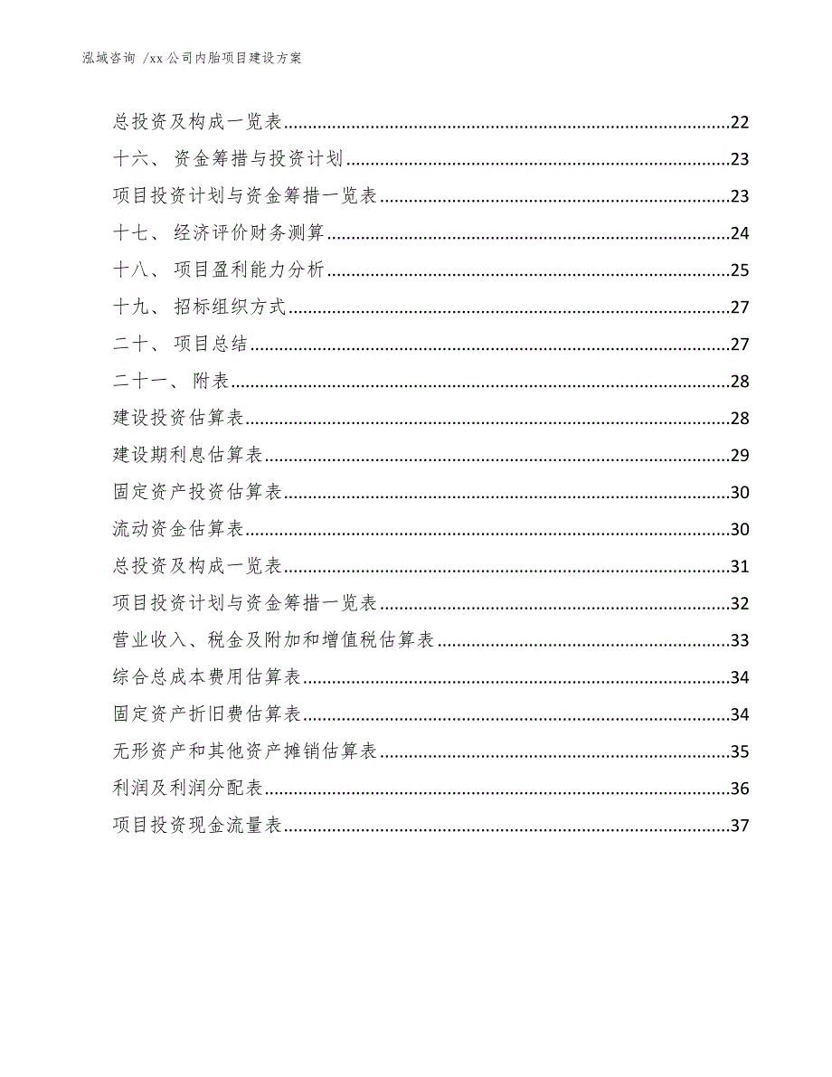 xx公司内胎项目建设方案（模板范文）_第2页