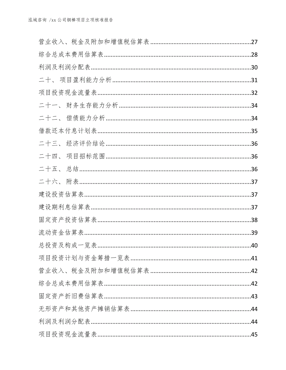 xx公司铜棒项目立项核准报告（范文模板）_第3页