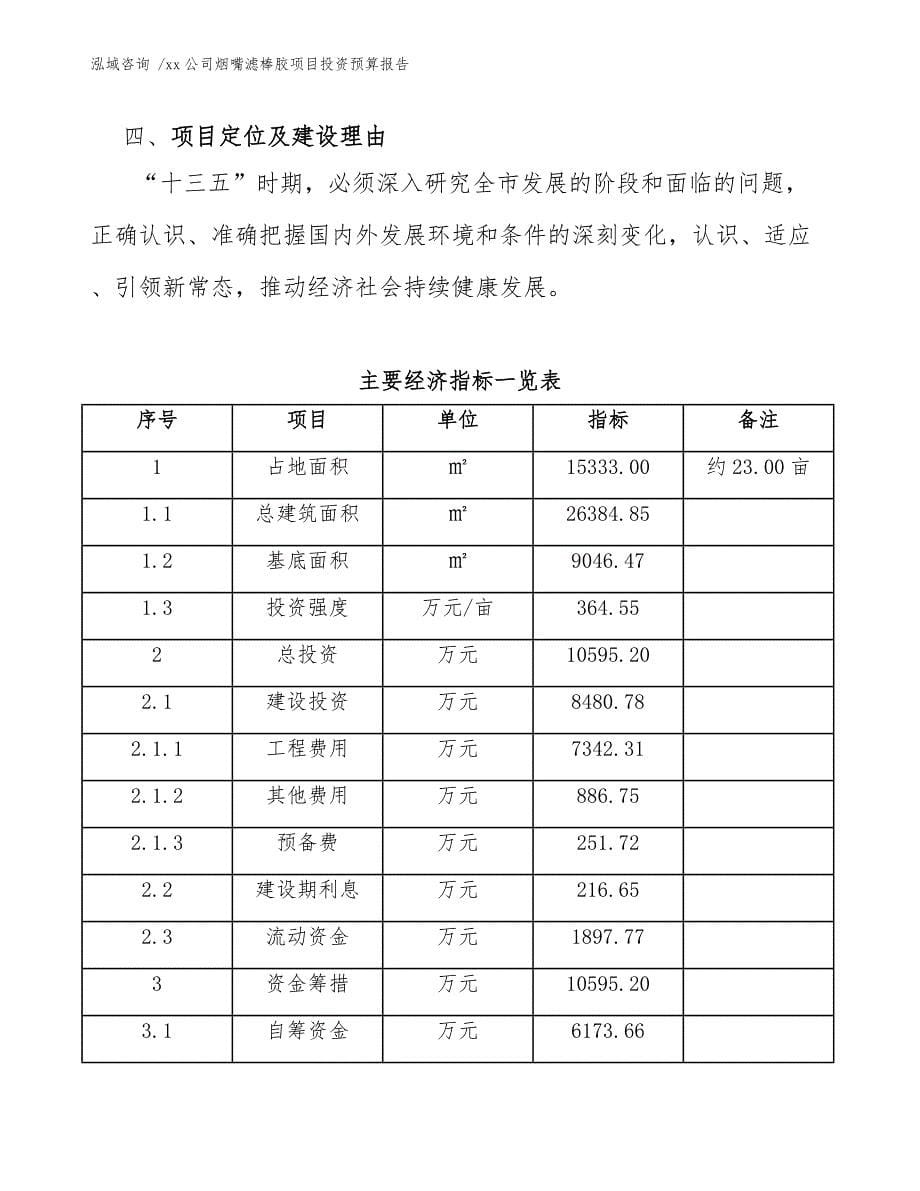 xx公司烟嘴滤棒胶项目投资预算报告（模板范文）_第5页