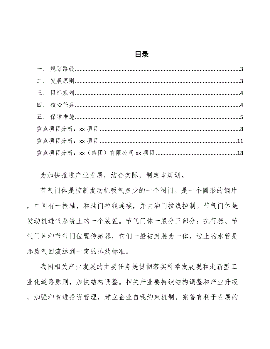 xx公司节气门体行业行动计划（十四五）_第2页