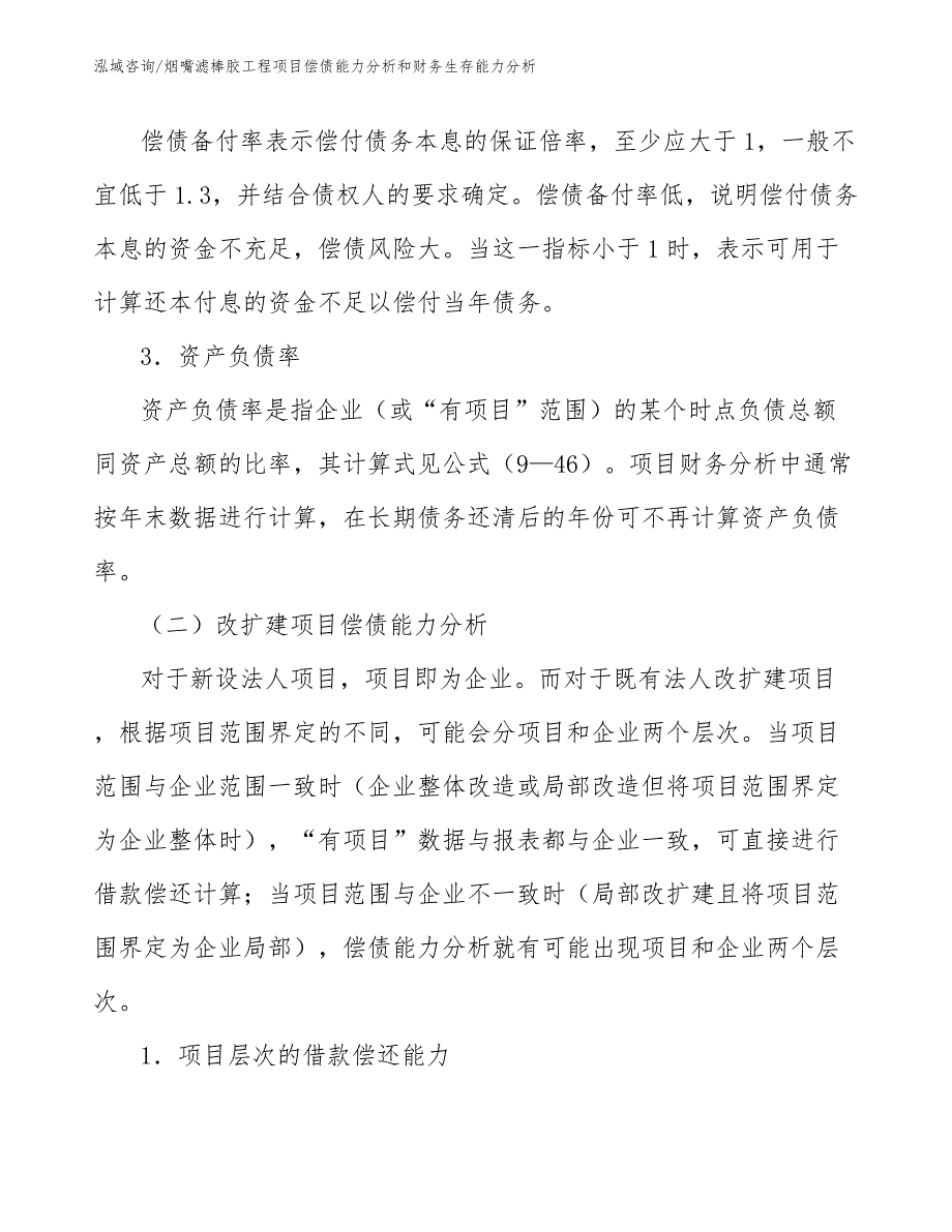 烟嘴滤棒胶工程项目偿债能力分析和财务生存能力分析（工程项目组织与管理）_第4页