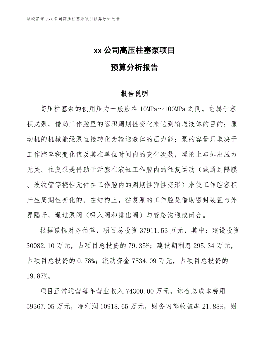 xx公司高压柱塞泵项目预算分析报告（模板参考）_第1页