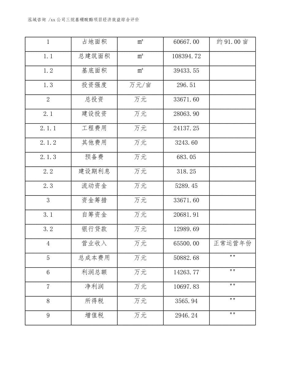 xx公司三烷基硼酸酯项目经济效益综合评价（模板范本）_第5页