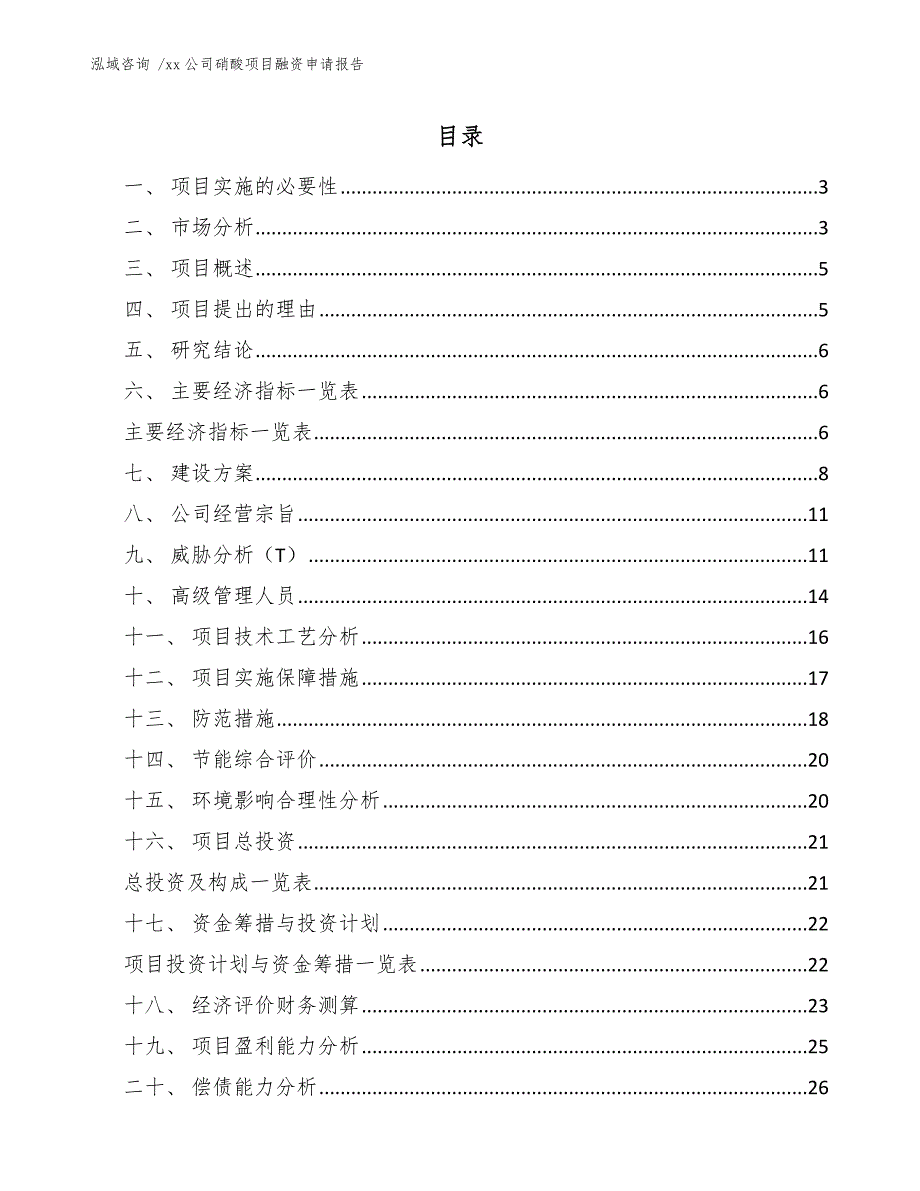 xx公司硝酸项目融资申请报告（参考范文）_第1页