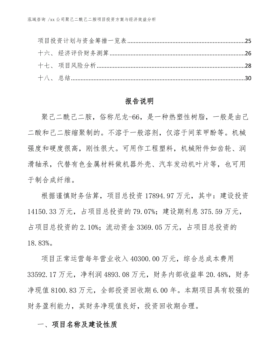 xx公司聚己二酰己二胺项目投资方案与经济效益分析（模板）_第2页