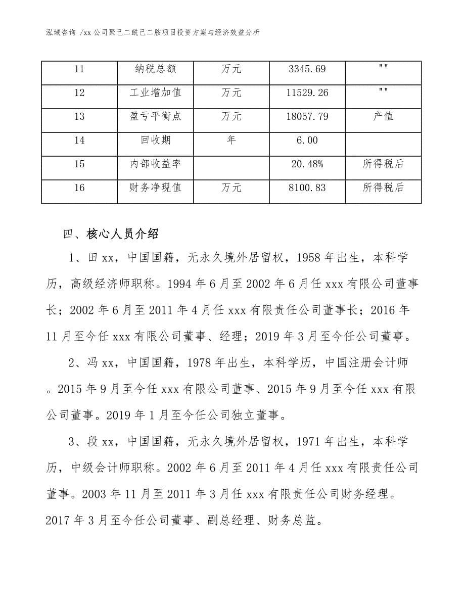 xx公司聚己二酰己二胺项目投资方案与经济效益分析（模板）_第5页