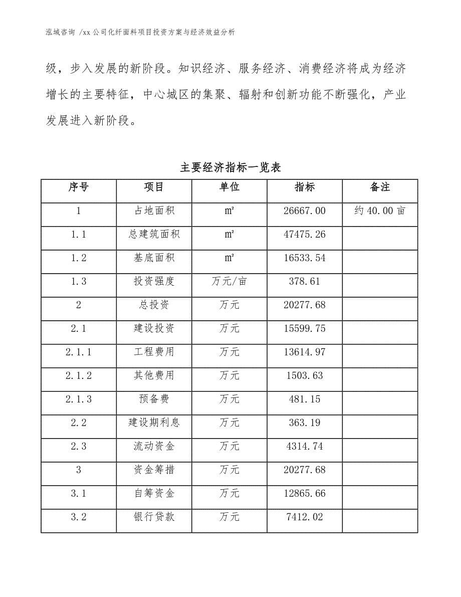 xx公司化纤面料项目投资方案与经济效益分析（模板范本）_第5页