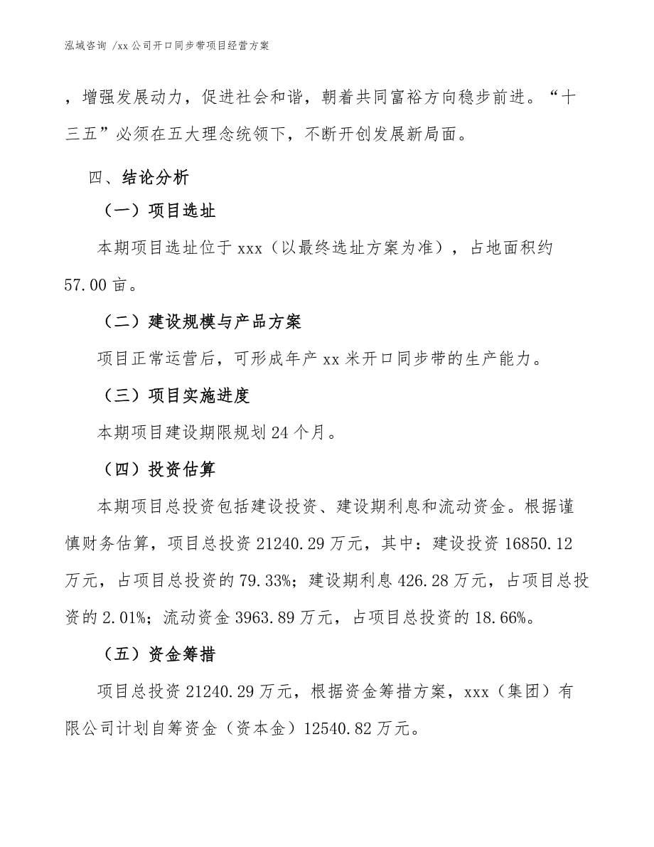 xx公司开口同步带项目经营方案（范文）_第5页