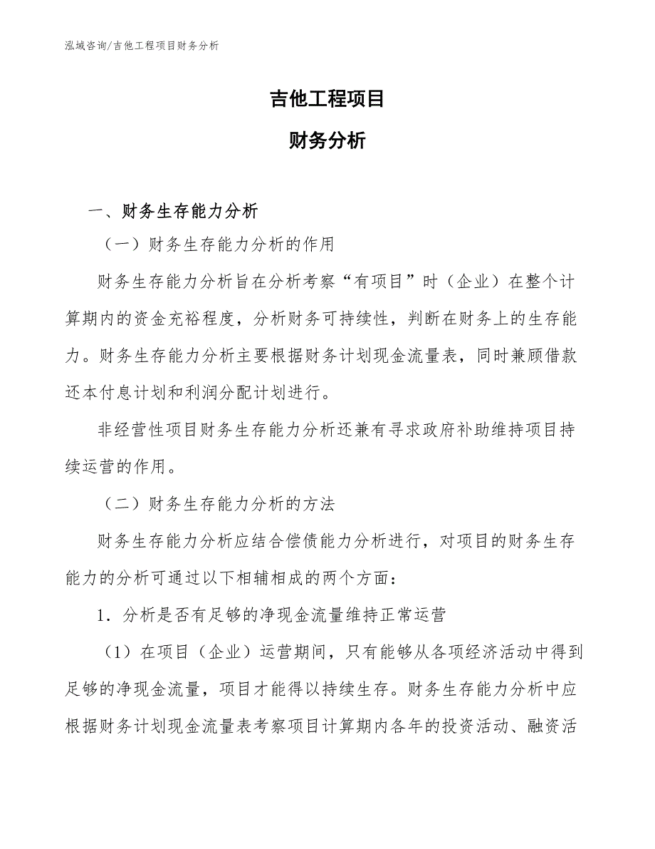 吉他工程项目财务分析（工程项目管理）_第1页