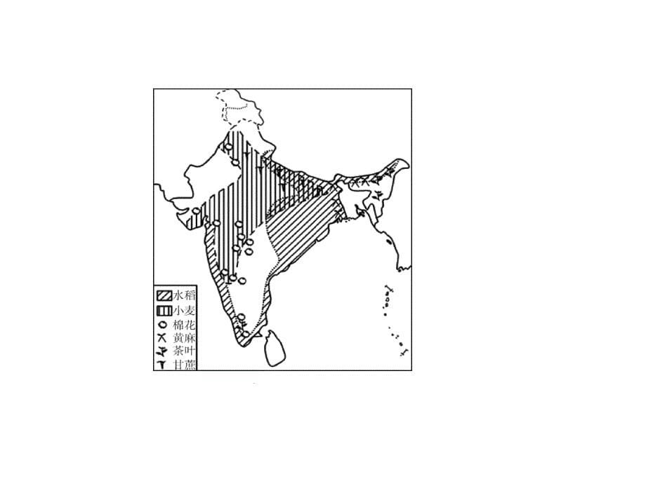 第7章-第3节　印度—人教版地理七年级下册课后作业课件(共34张PPT)_第5页