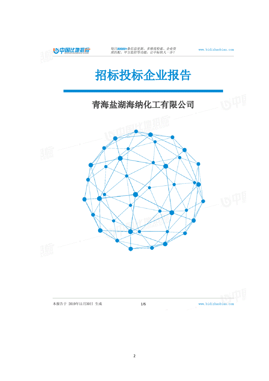 青海盐湖海纳化工有限公司-招投标数据分析报告_第2页