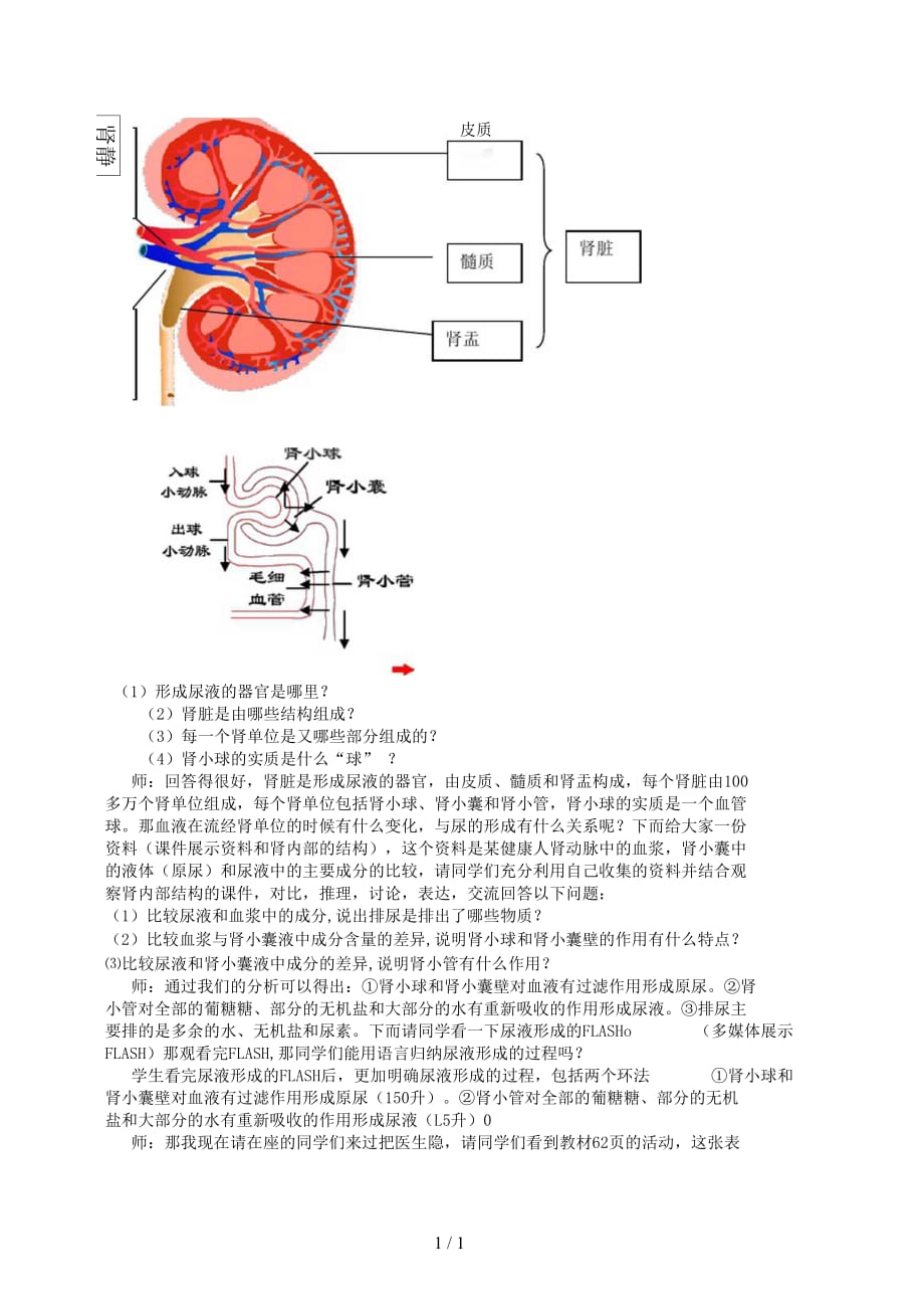 2019七年级生物下尿液的形成和排出教案新版济南(一)_第3页