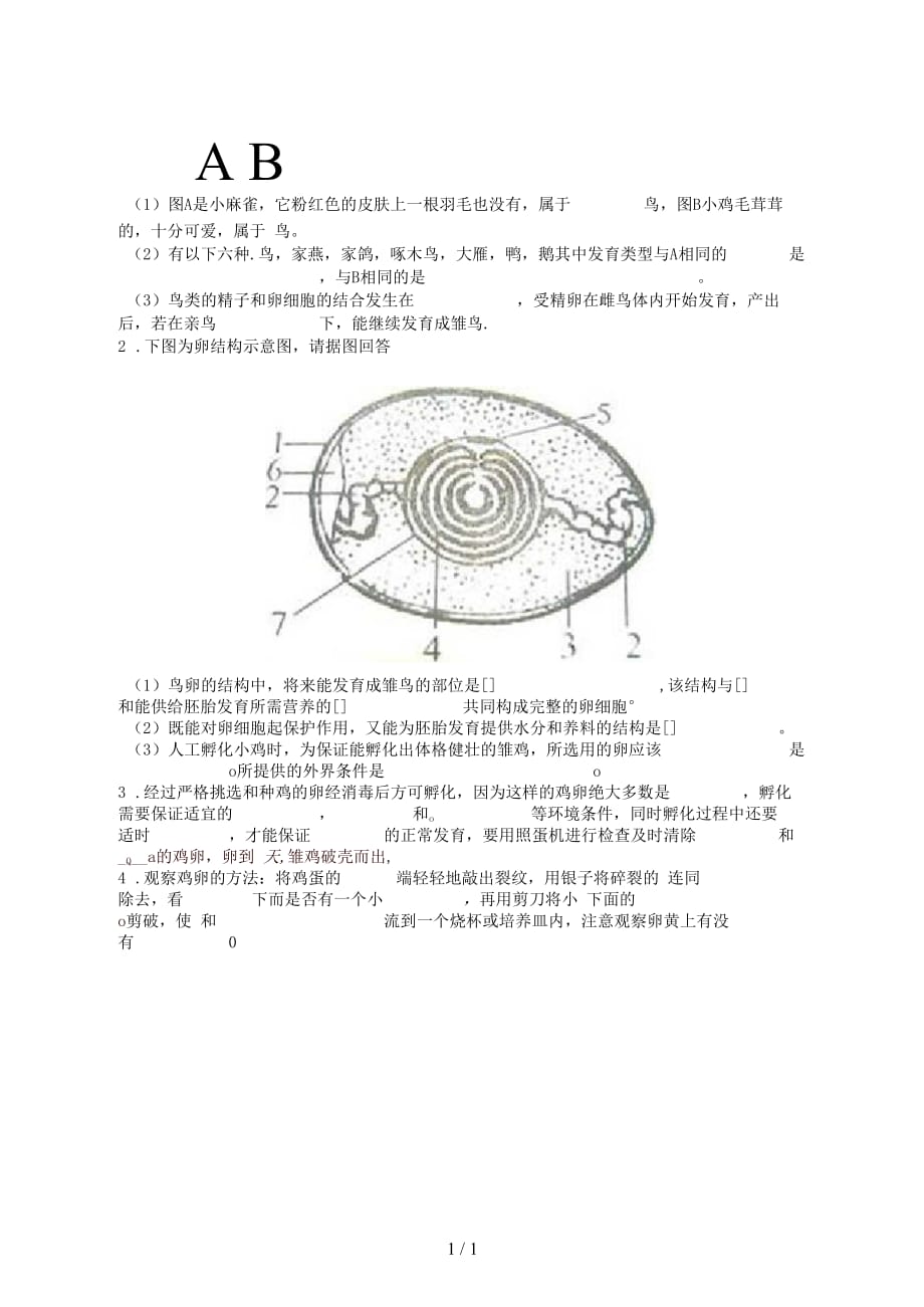 2019八年级生物下册：鸟的生殖和发育课后巩固无答案_第4页