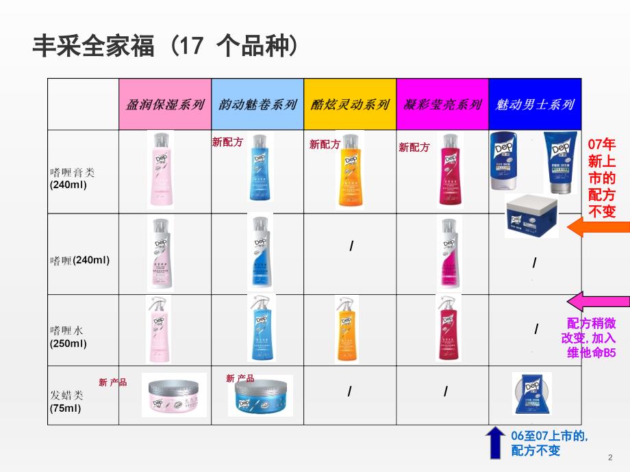 日化行业：新丰采上市培训手册_第2页