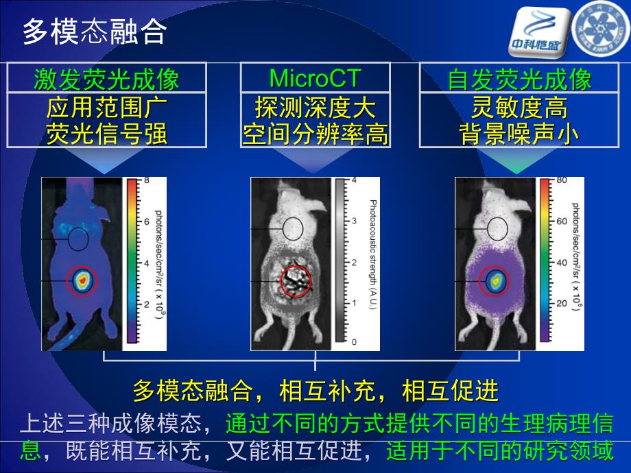 分子影像介绍课件_第3页