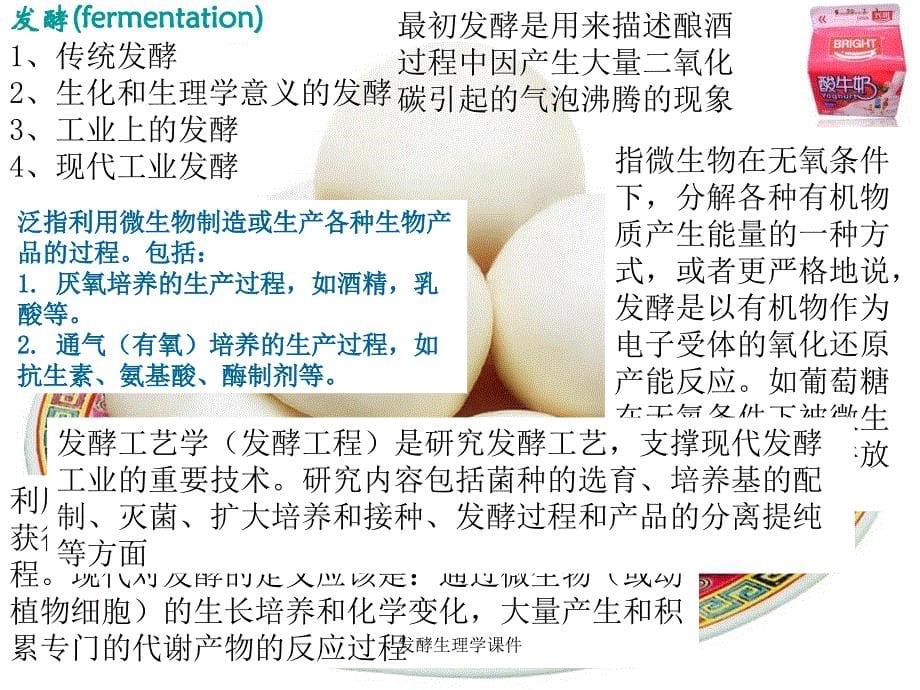 发酵生理学课件_第5页