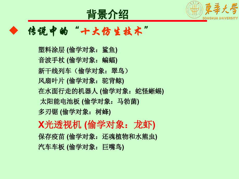 仿生学龙虾课件_第3页