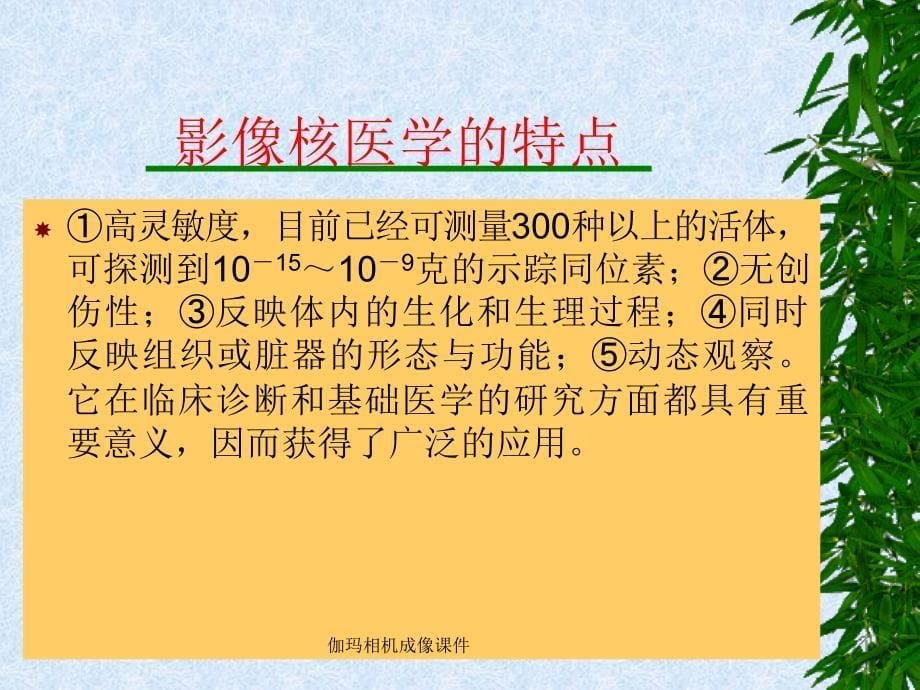 伽玛相机成像课件_第5页