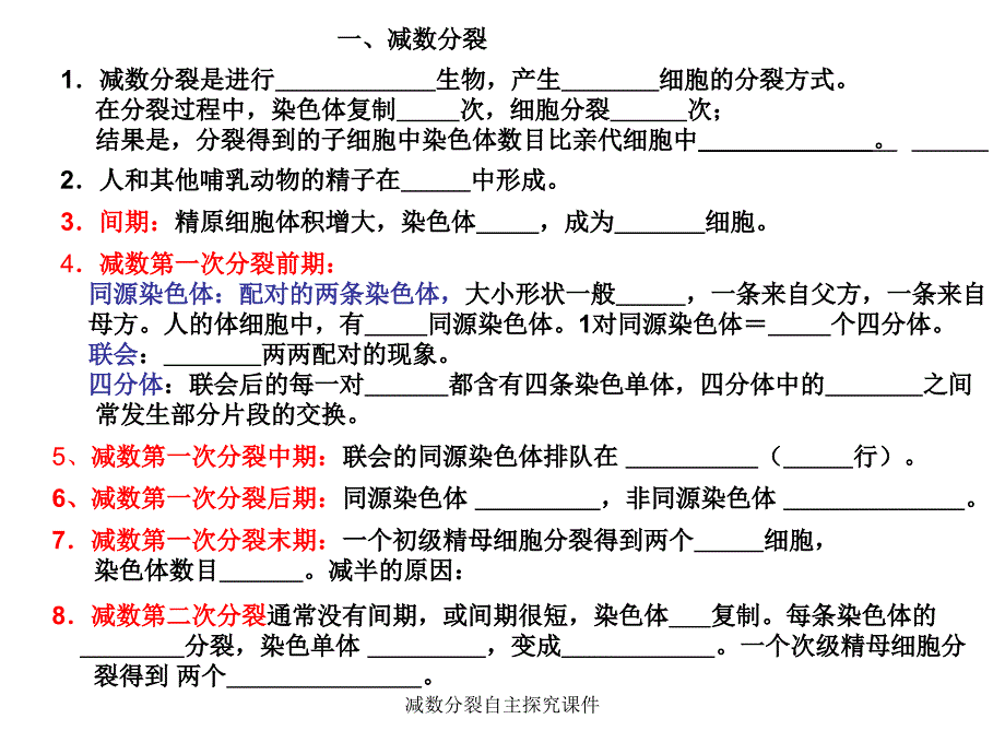 减数分裂自主探究课件_第1页