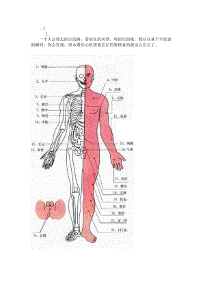 juwvws人-体穴道(那是相当的专业-让你大长见识)