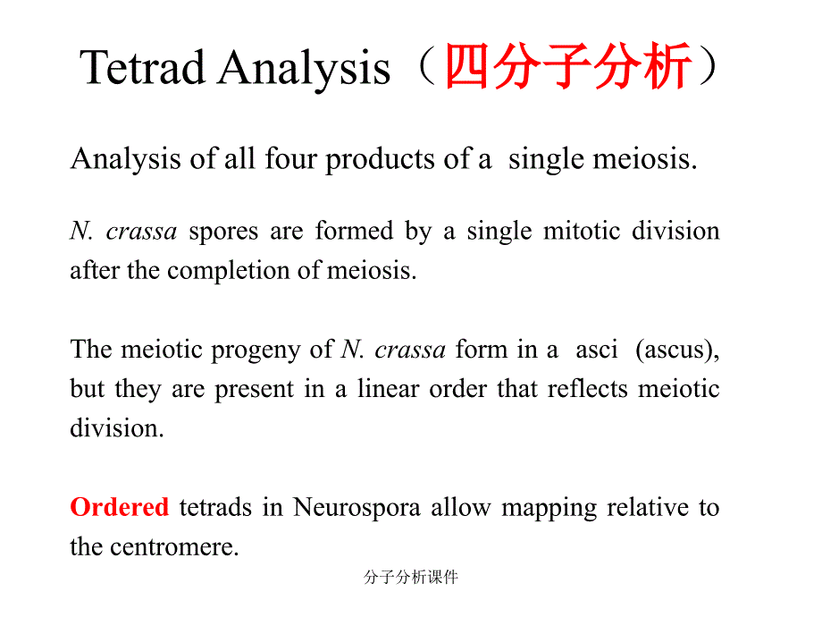 分子分析课件_第4页