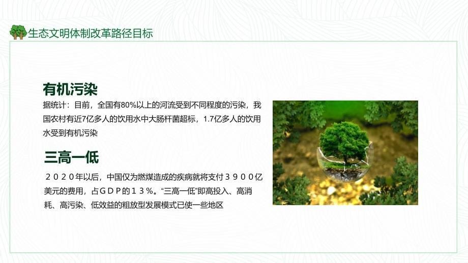 大力推进生态文明努力建设美丽中国实用PPT讲授课件_第5页