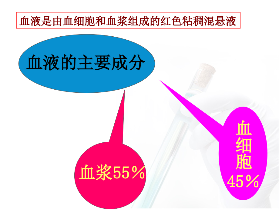 诊断学-第五章 实验室检查 第一节 血、尿、粪常规检查_第4页