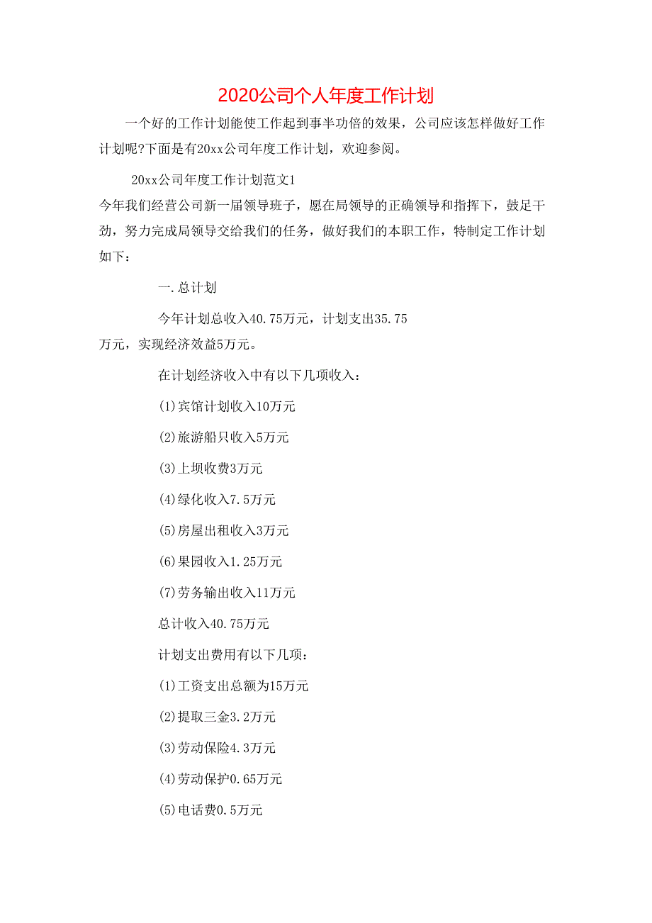 （精选）2020公司个人年度工作计划_第1页