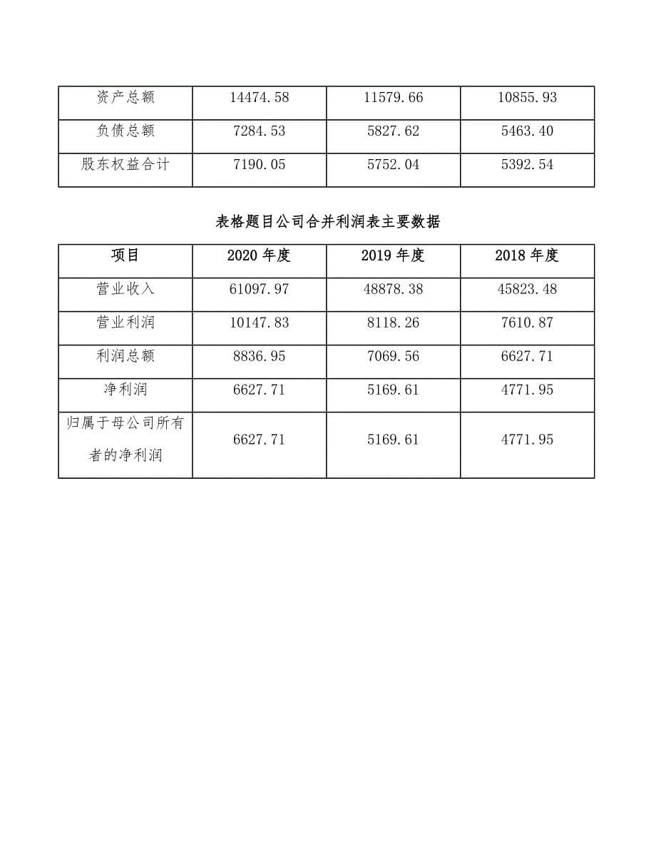 晶圆代工公司人力资源规划方案_第5页