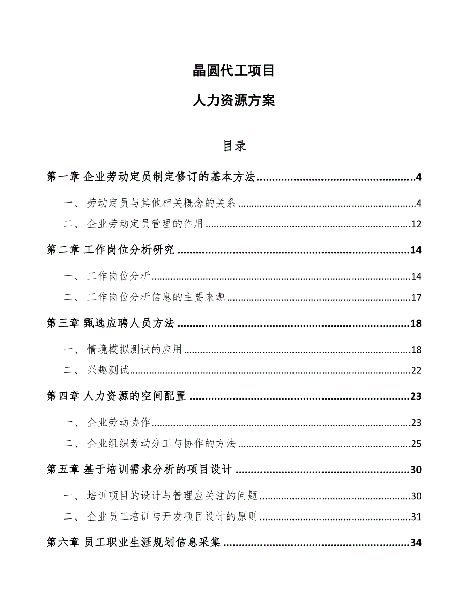 晶圆代工项目人力资源方案_第1页