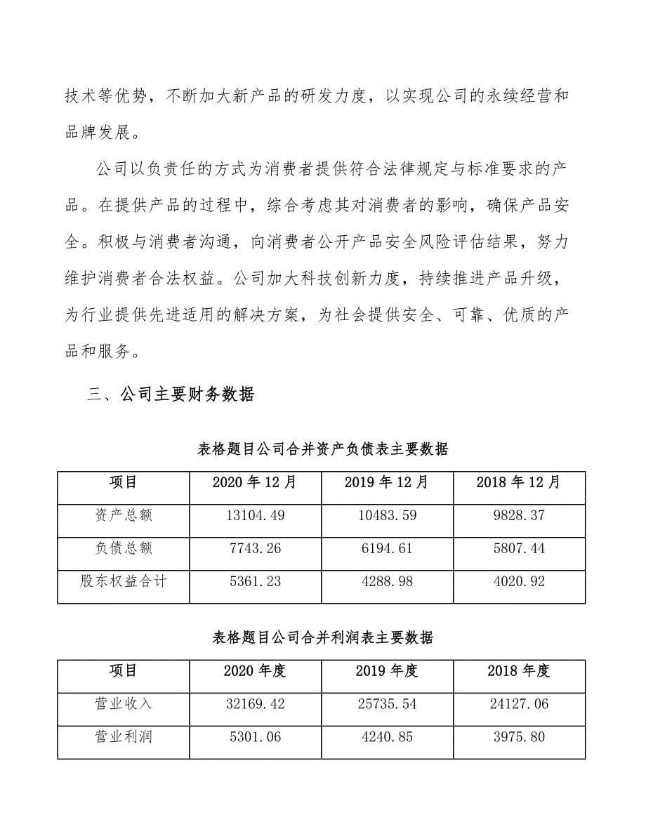 客车公司规划咨询分析_第5页