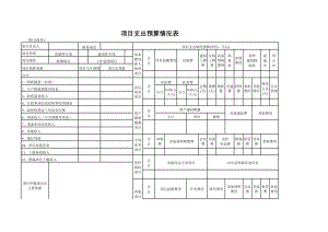 项目支出预算情况表-1