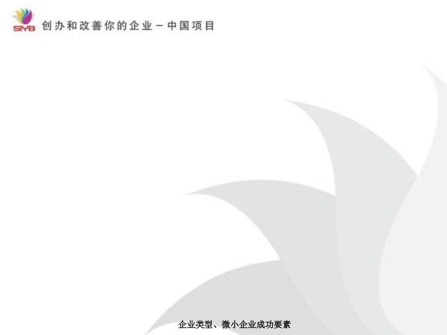 企业类型、微小企业成功要素(经典实用)_第5页