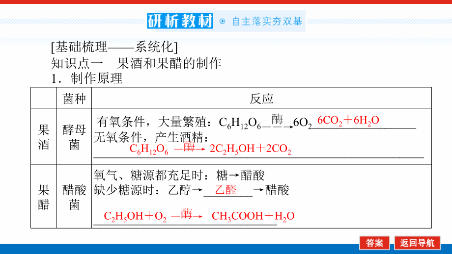 新高考生物人教版复习课件-选1.2-传统发酵技术应用_第4页