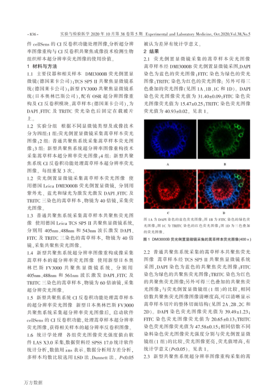 超分辨率图像重构与CI反卷积共聚焦成像技术对蒿草样_第2页