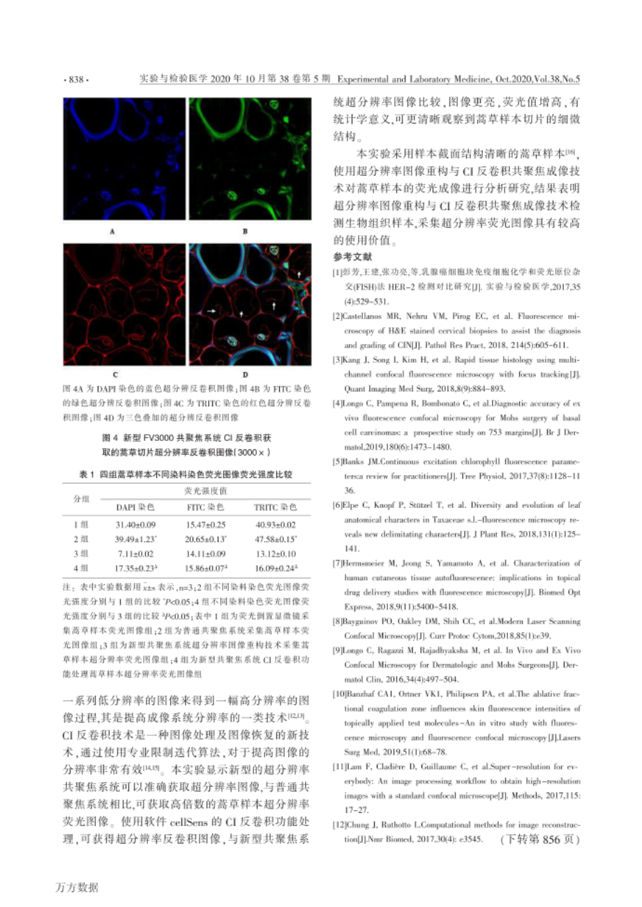 超分辨率图像重构与CI反卷积共聚焦成像技术对蒿草样_第4页