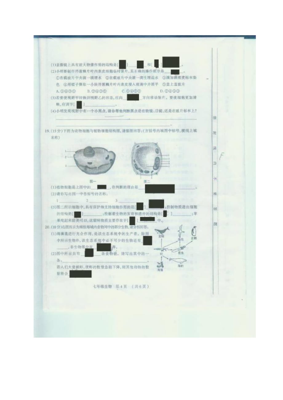 太原市七年级生物上学期第一次测评试题_第4页