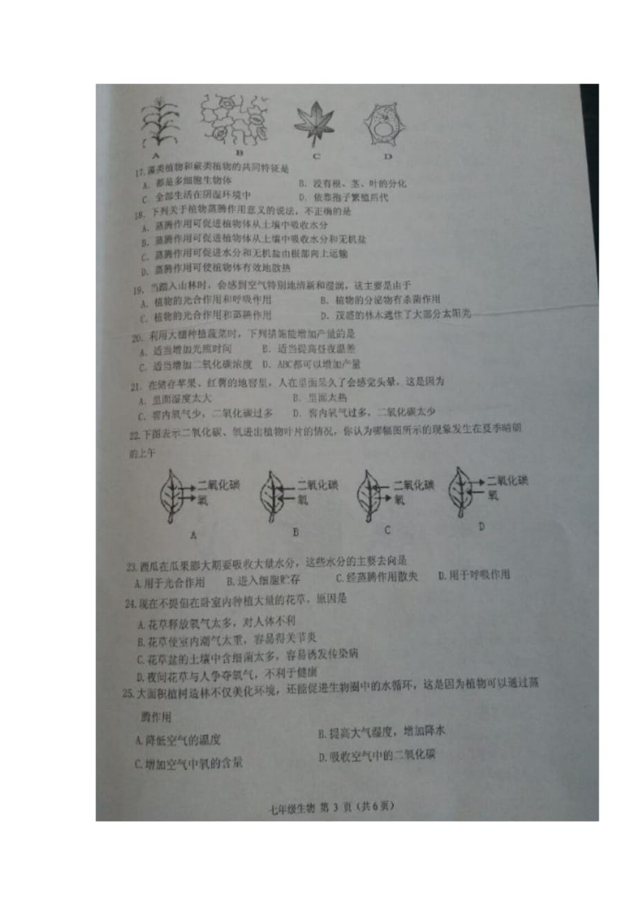 滨州市无棣县七年级生物上学期期中试题 济南版_第3页