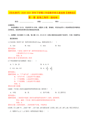 第1章直角三角形（基础卷）（解析版）