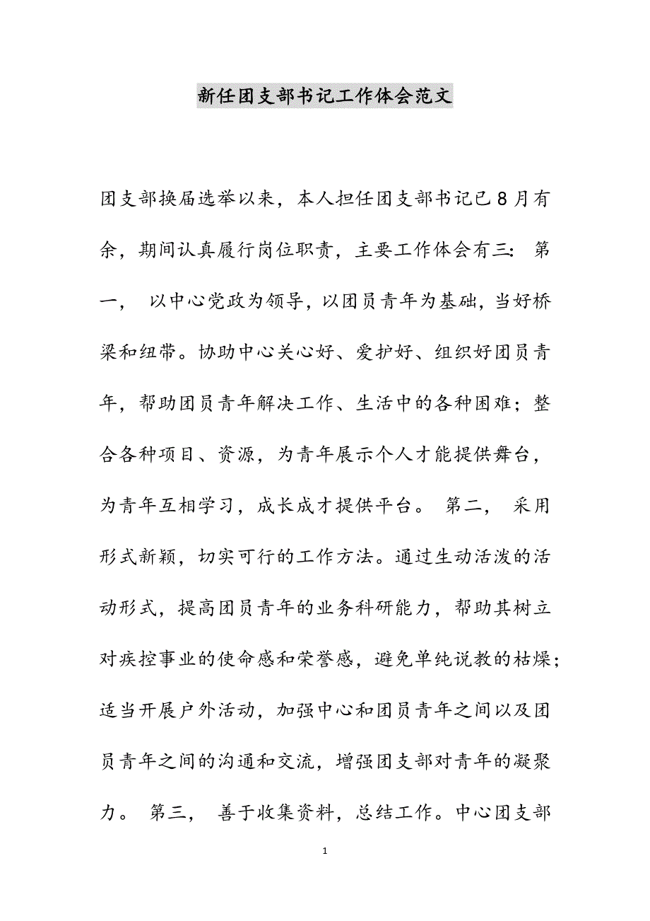 新任团支部书记工作体会范文_第1页