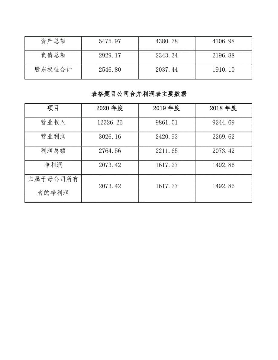 稀土激光晶体公司工程项目前期准备规划_第5页