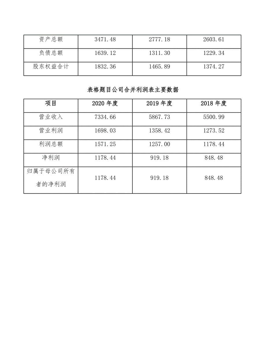 稀土镁合金项目人力资源管理计划_第5页