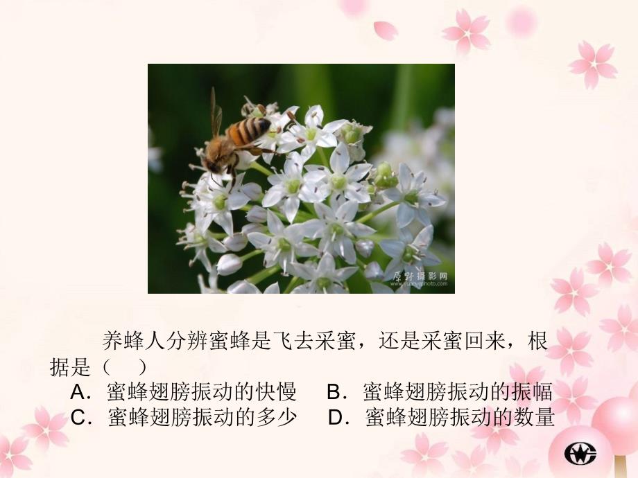 华东师大版八年级科学下册声音的特性_第3页