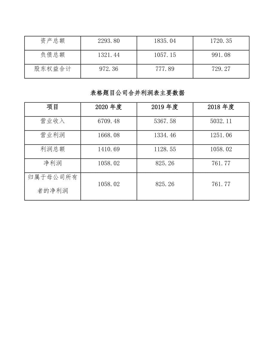 预制菜公司组织管理手册_第5页