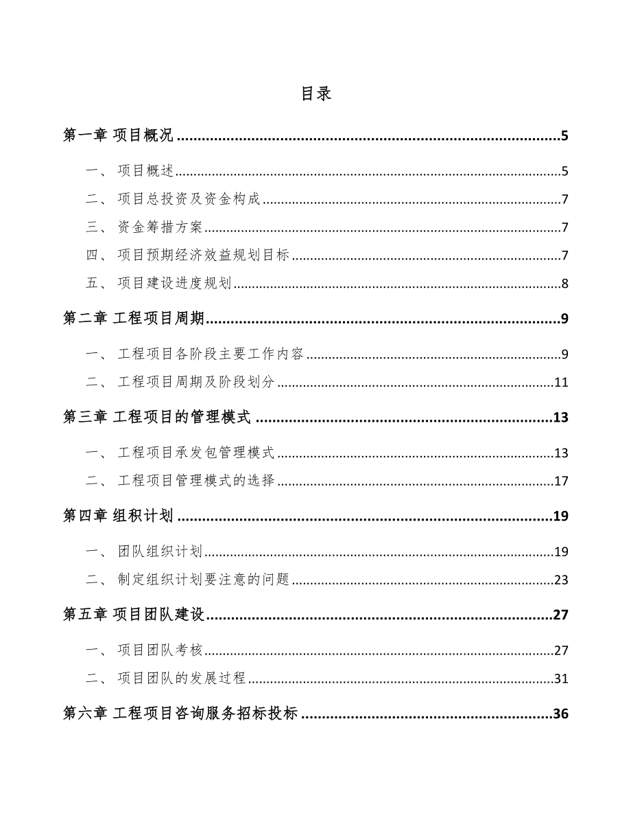 眼镜镜片项目工程管理手册_第2页