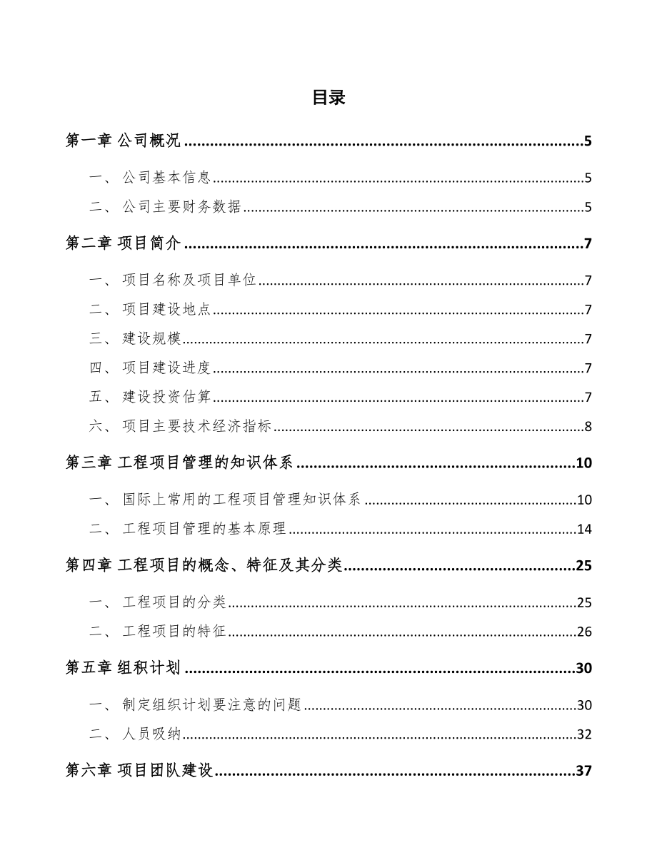 轻合金公司工程项目运营方案_第2页