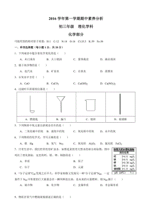 2016-2017学年浦东第三教育署九上期中考化学试卷