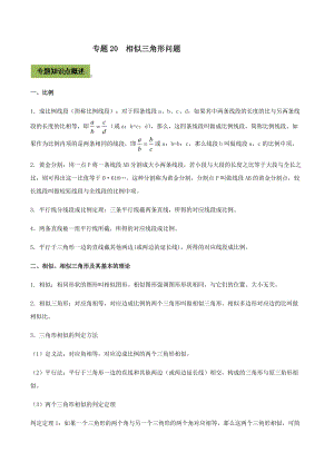 中考数学点对点突破复习特色专题-专题20相似三角形问题（解析版）